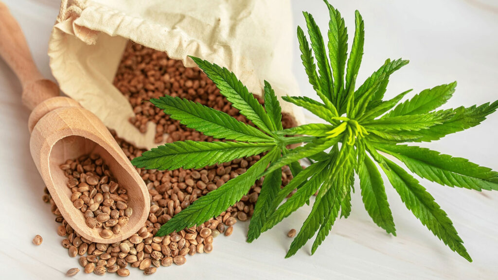 CBD duration