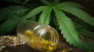 CBD Travel Relaxation