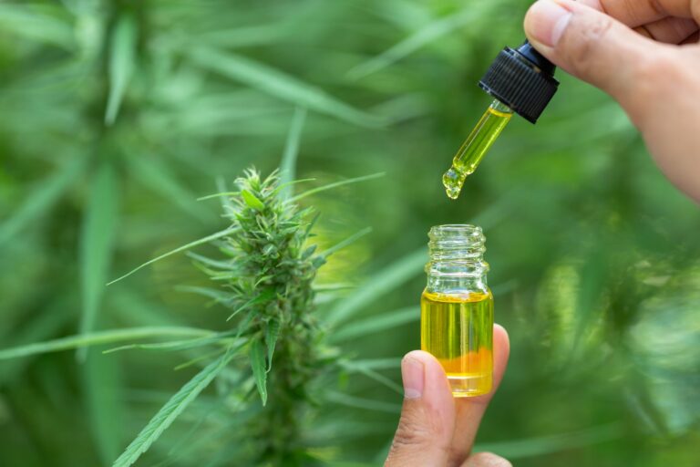 CBD for Road Trips Benefits and Safety Tips